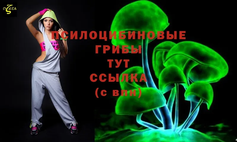 Псилоцибиновые грибы Magic Shrooms Невельск